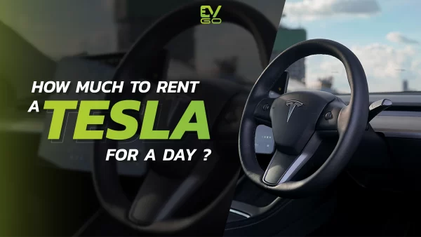 How much to rent a Tesla for a day